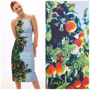 anthropologie orange bough dress